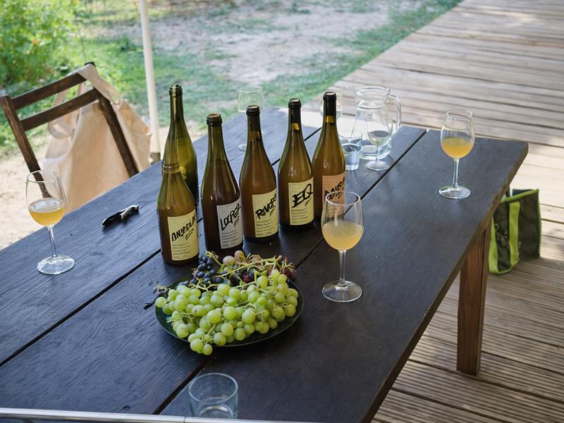 Glasses of chilled white wine set out for a tasting at a small organic vineyard near Porto