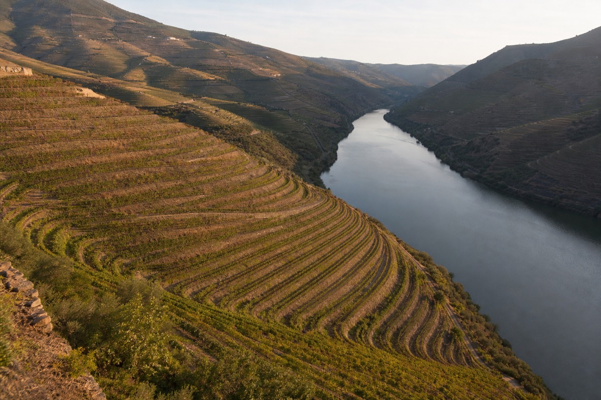 The terraced vineyards of the Douro Valley