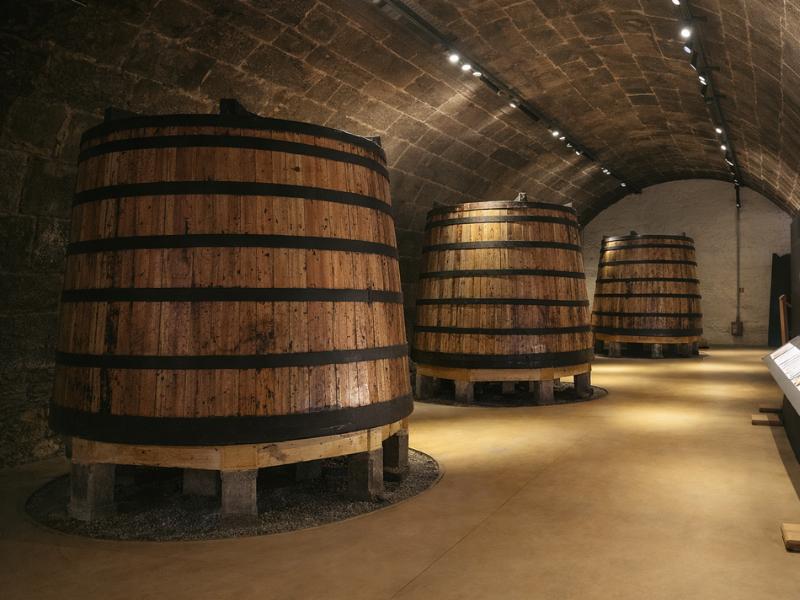 Best Porto Wine Walking Tour – 9 Tastings of Port & Douro Wines
