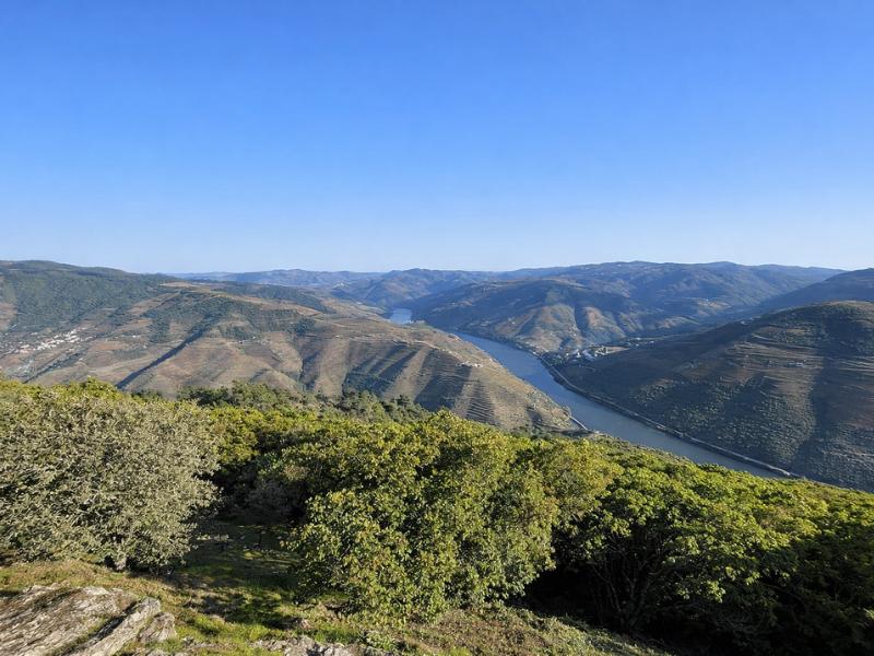 Douro Valley Full-Day Experience: Historic Sites, Wine, Lunch & Cruise