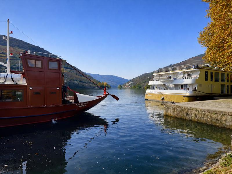 Douro Valley Premium Wine Experience: Lunch at Winery + Private River Cruise