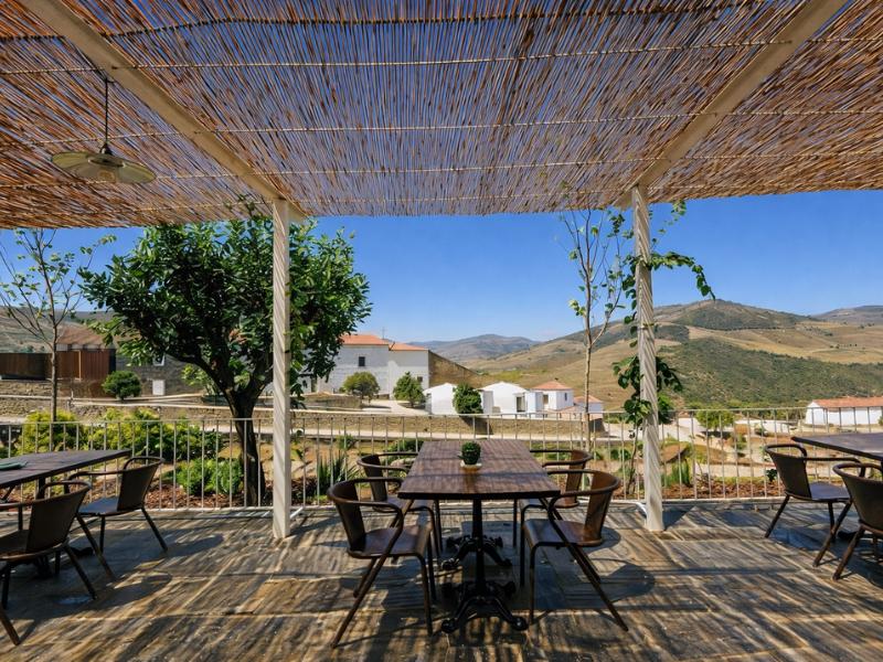 Douro Valley Private Cruise & Lunch at an Award-Winning Winery