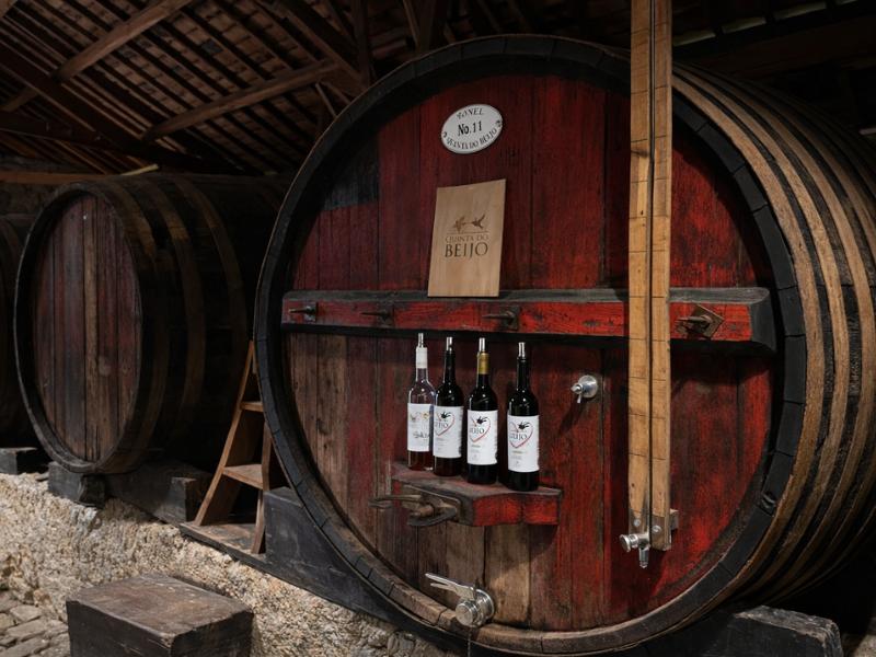 Douro Valley Small-Group Tour: Wine Experience, Lunch & Scenic Cruise