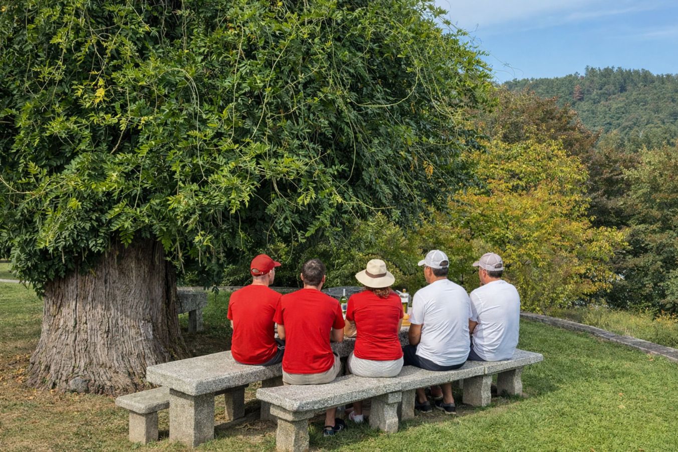 Our group is doing wine tasting during Douro Valley half day wine tour from Porto