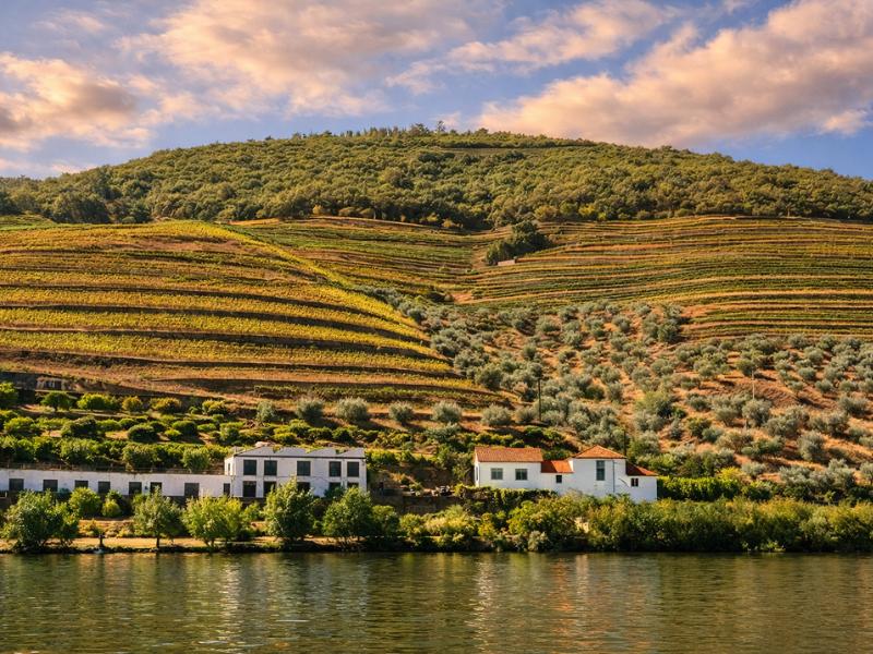 Full-Day Douro Valley Excursion from Porto – Highlights & Tastings