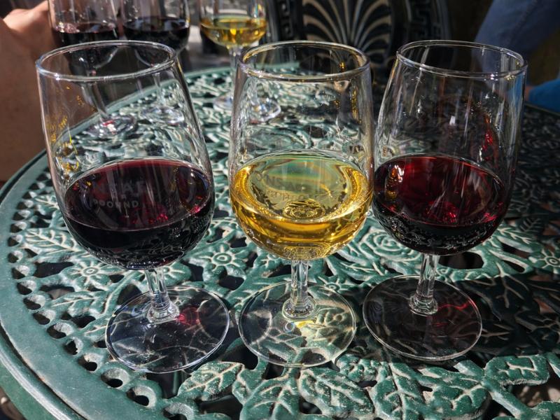 Small-Group Premium Douro Day: Wine Tastings, Lunch & Private-Style Boat